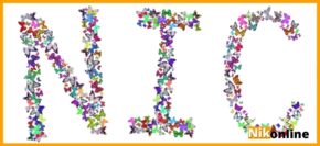 "NIC" красивым шрифтом из разноцветных бабочек